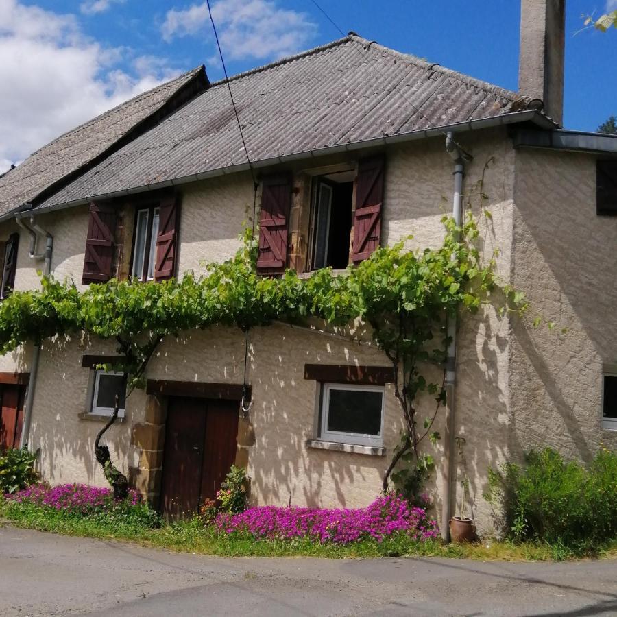 Maison Familiale Coteaux De La Vezere Voutezac Zewnętrze zdjęcie