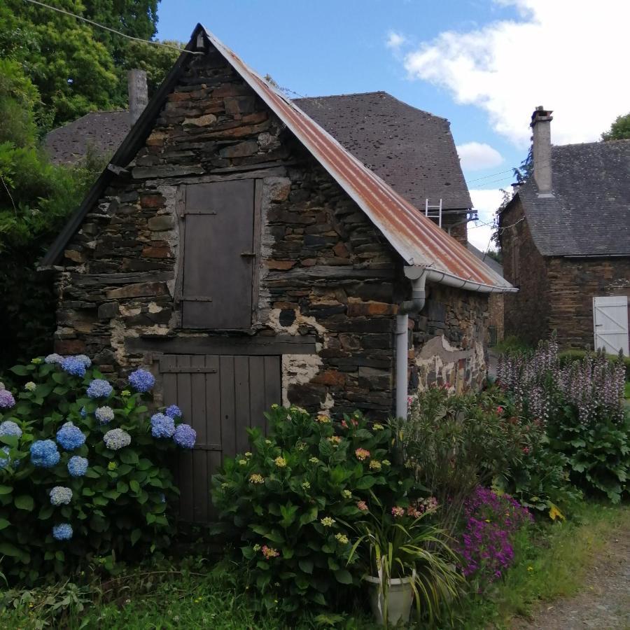 Maison Familiale Coteaux De La Vezere Voutezac Zewnętrze zdjęcie